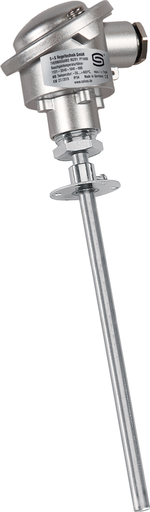 [1101-3040-1063-000] THERMASGARD® RGTF1 Pt100 300mm